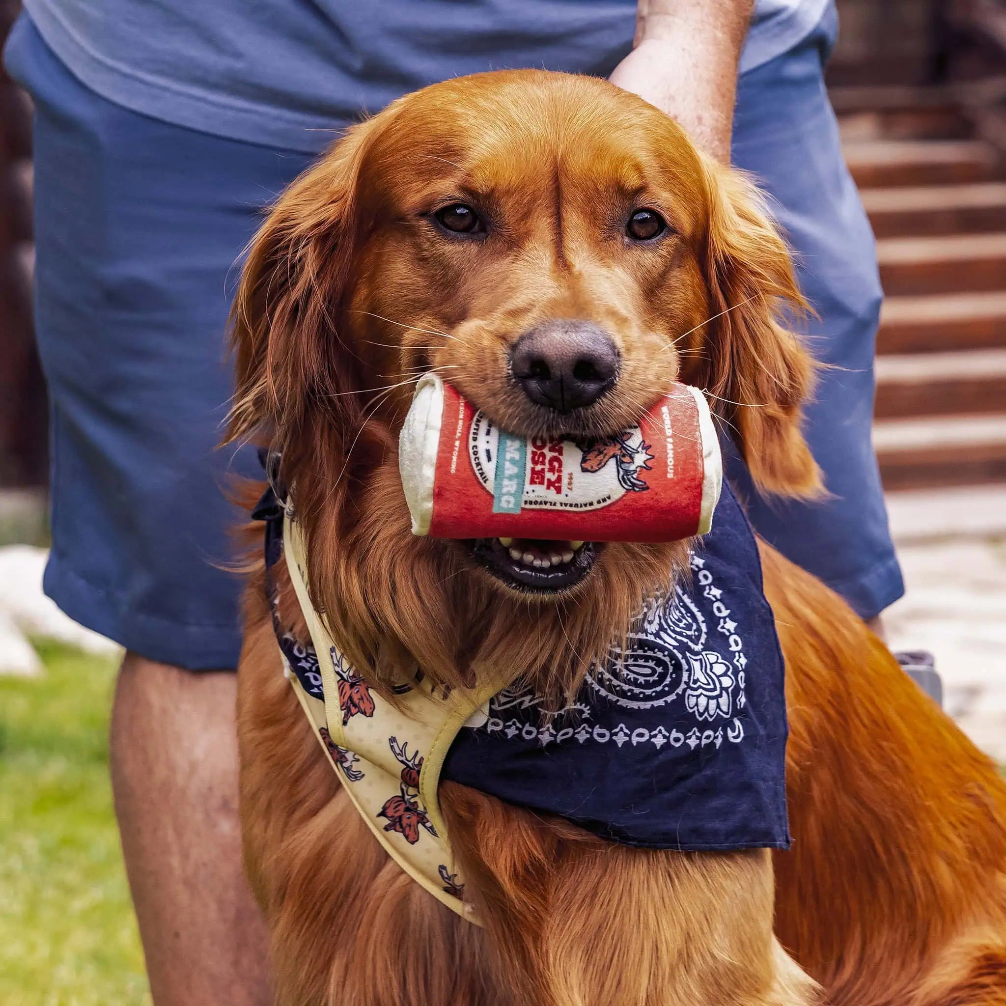 Mangy Moose Spicy Marg Can Squeaky Toy